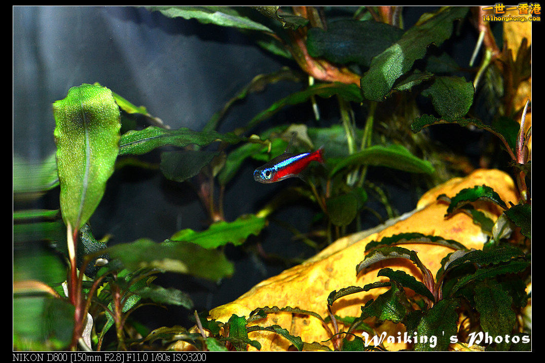 DSC_3456.jpg