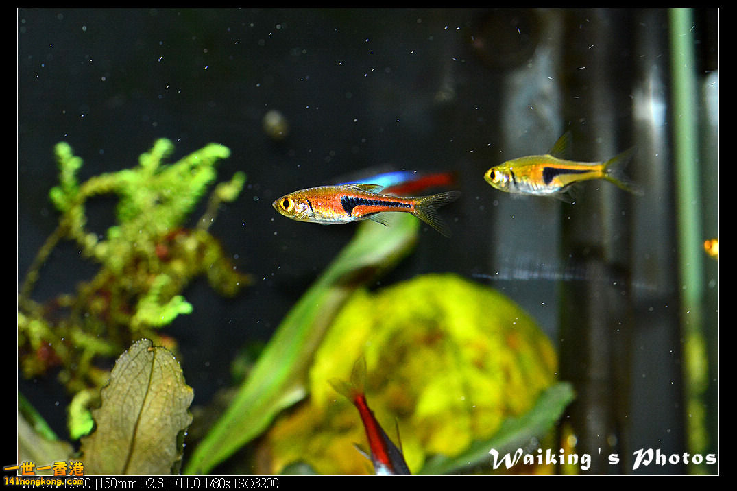 DSC_3457.jpg