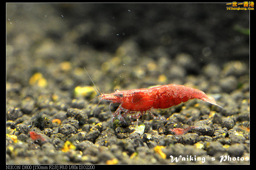 DSC_3491.jpg