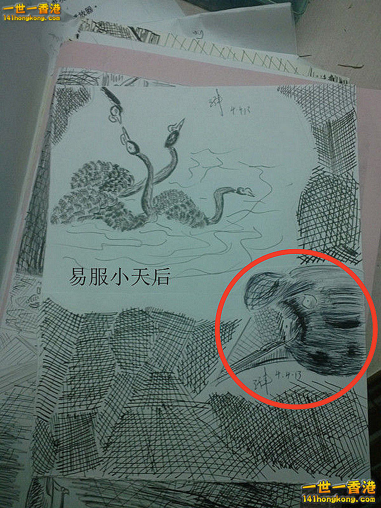 圖形2.jpg
