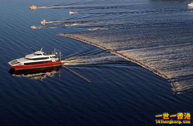 One boat and 145 water-skiers.jpg