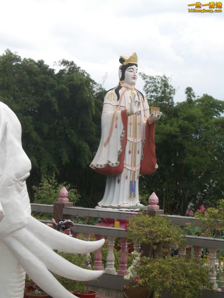IMGP1219.JPG
