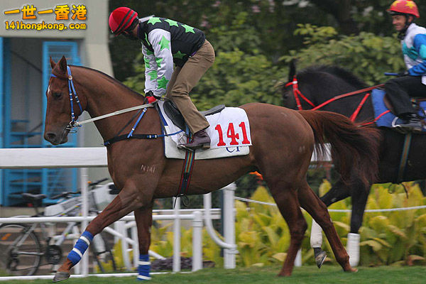 賽馬 141-1.jpg