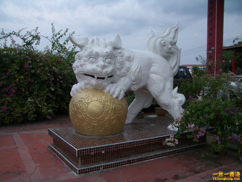 IMGP1221.JPG