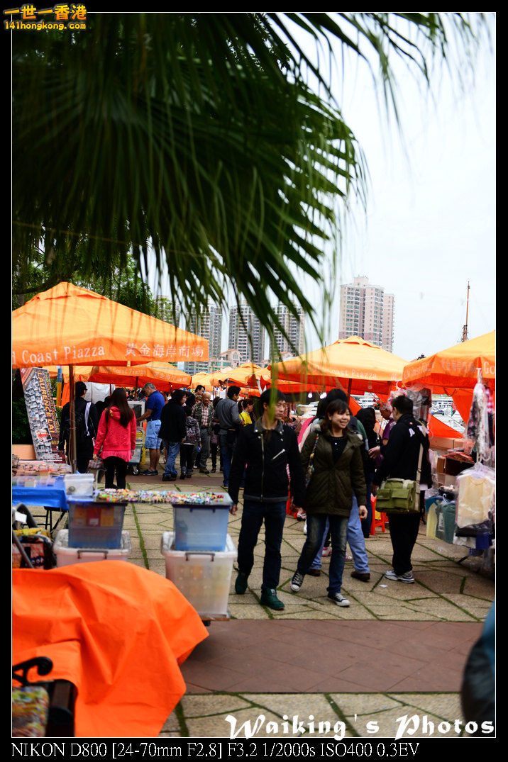 DSC_3616.jpg