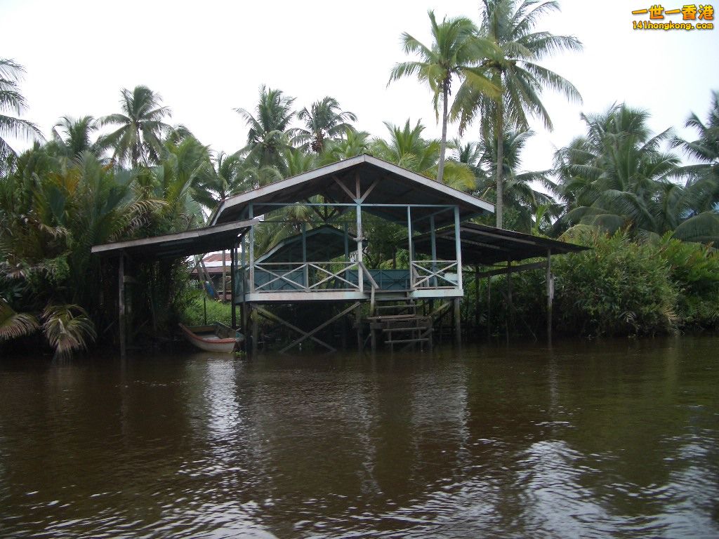 IMGP1223.JPG