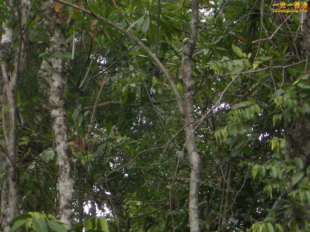 IMGP1224.JPG