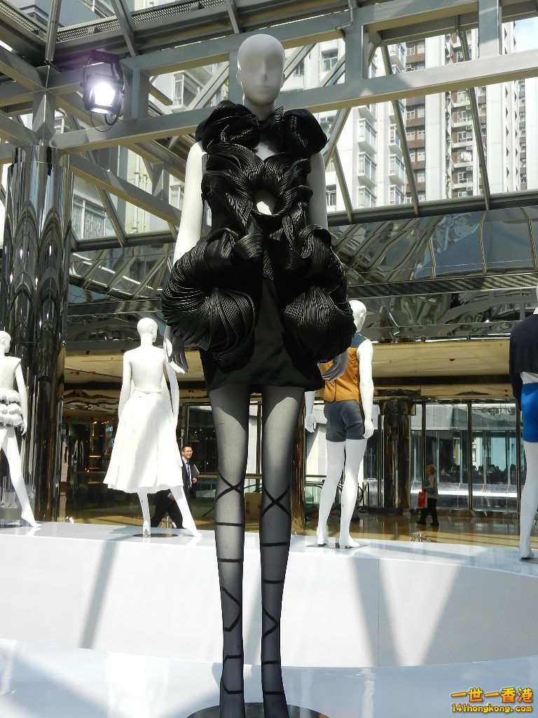 DSCN4279.JPG