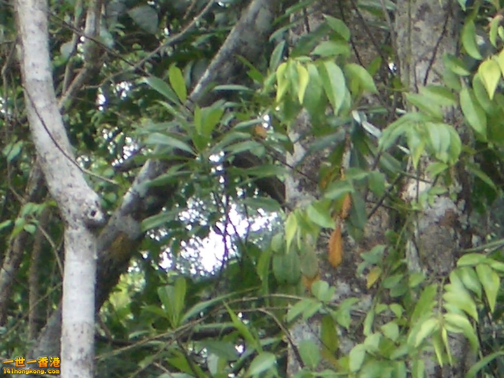 IMGP1225.JPG