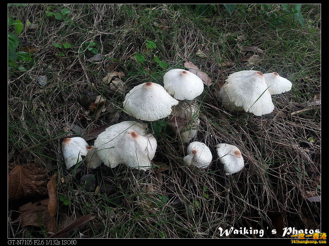 20130420_112451R.jpg