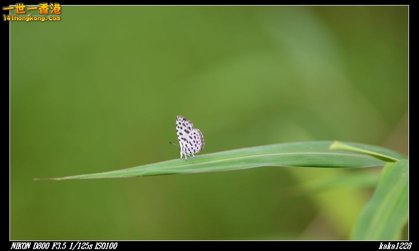 nEO_IMG_DSC_2828.jpg