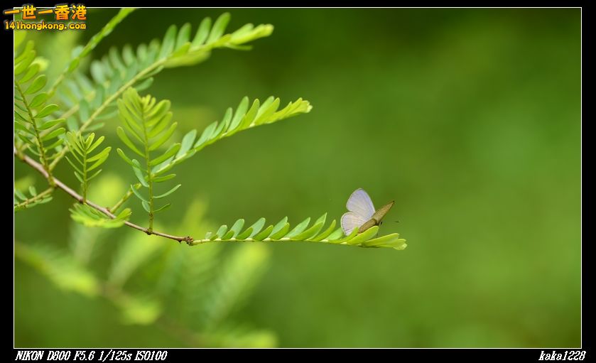 nEO_IMG_DSC_2832.jpg