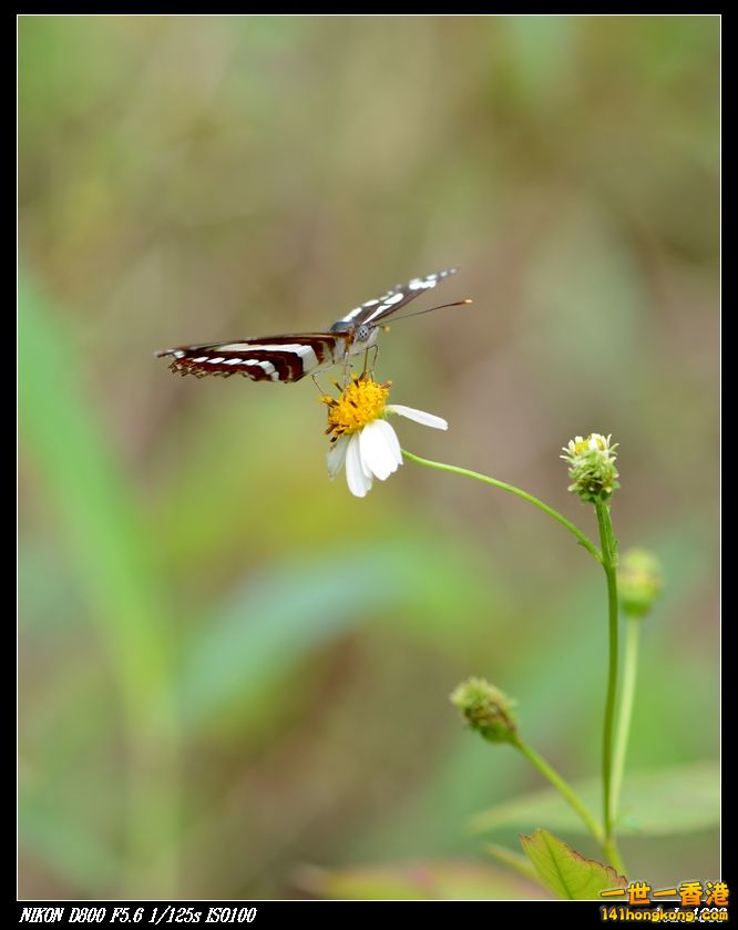 nEO_IMG_DSC_2858.jpg