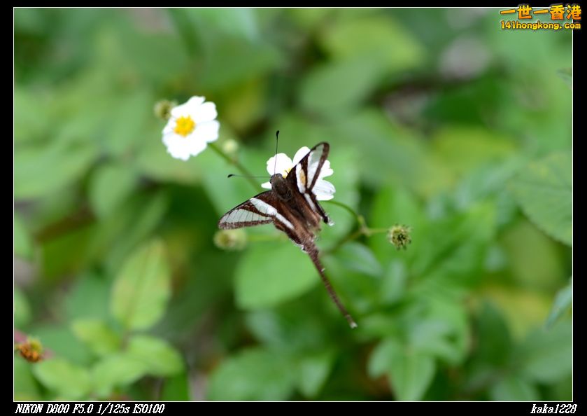 nEO_IMG_DSC_2863.jpg