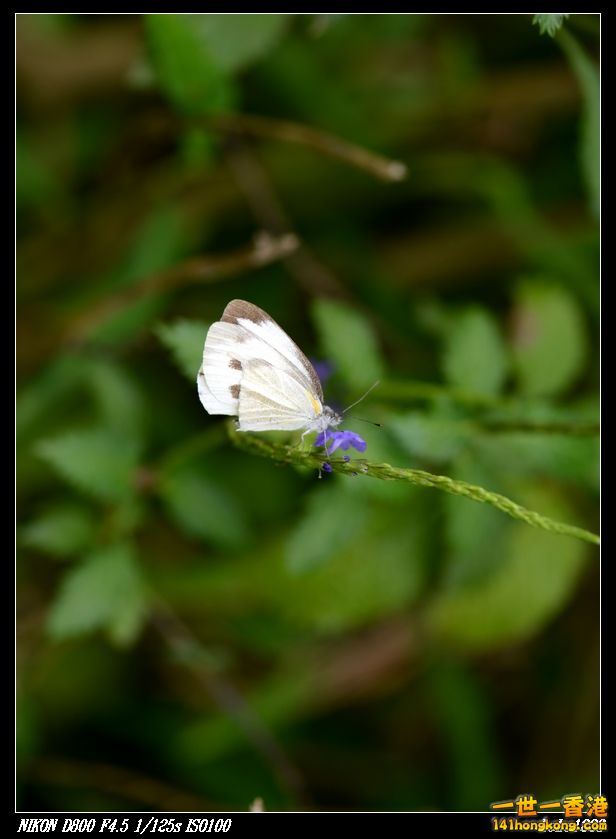 nEO_IMG_DSC_2964.jpg
