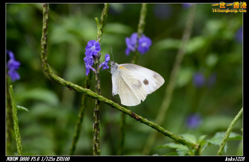 nEO_IMG_DSC_2968.jpg
