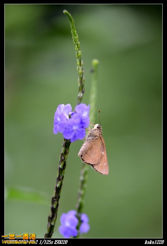 nEO_IMG_DSC_3058.jpg