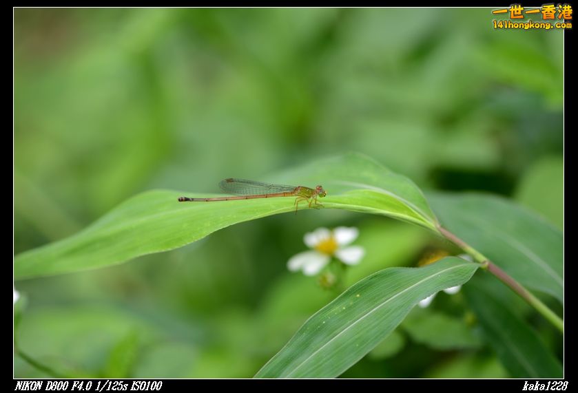 nEO_IMG_DSC_3013.jpg