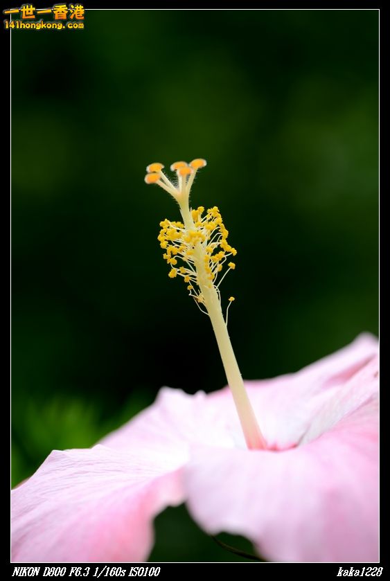 nEO_IMG_DSC_3002.jpg
