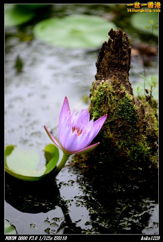 nEO_IMG_DSC_3022.jpg