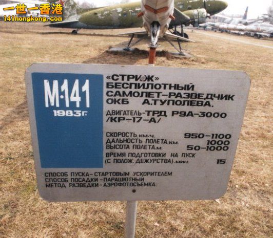 141.jpg