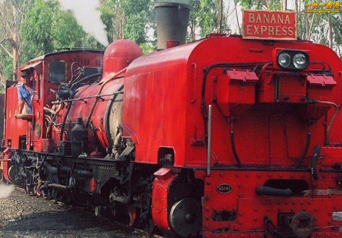 Alfred County narrow gauge garratt NG141b.jpg