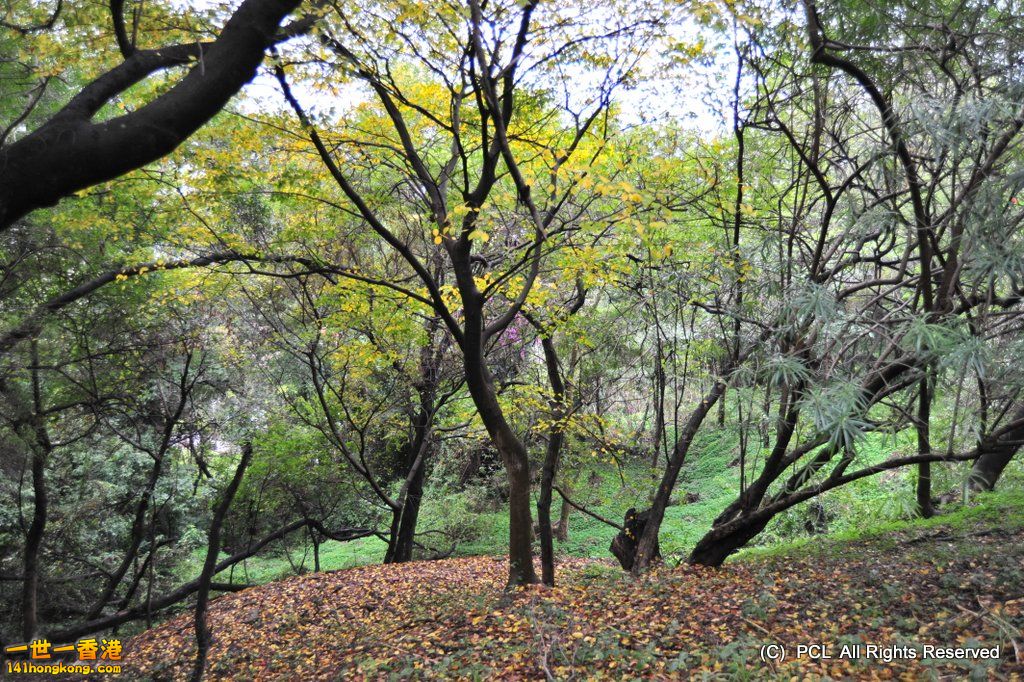 PCL_3692-001.JPG