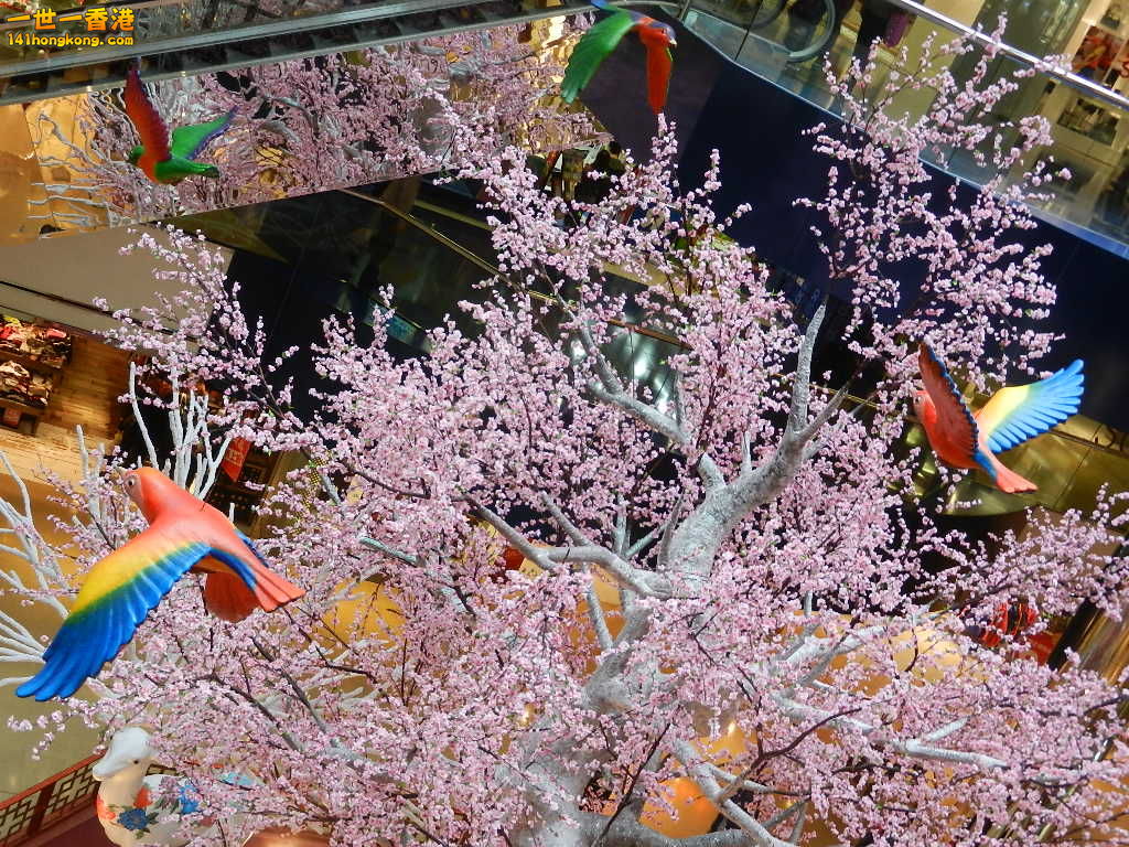 DSCN1288.JPG