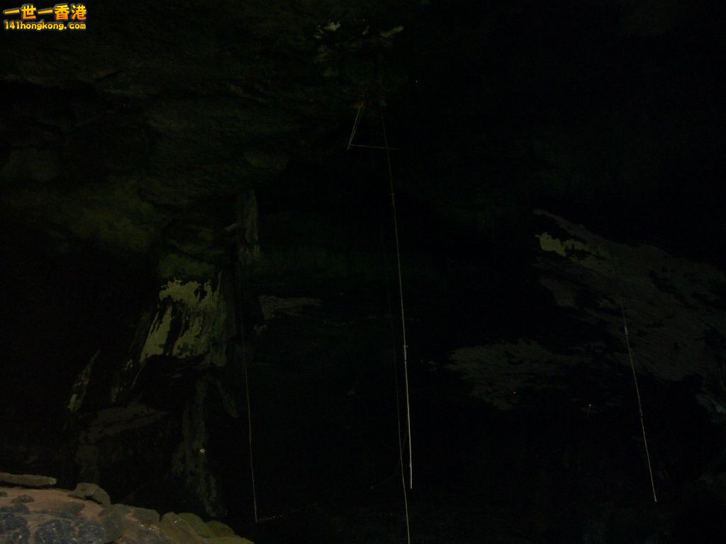 IMGP1242.JPG