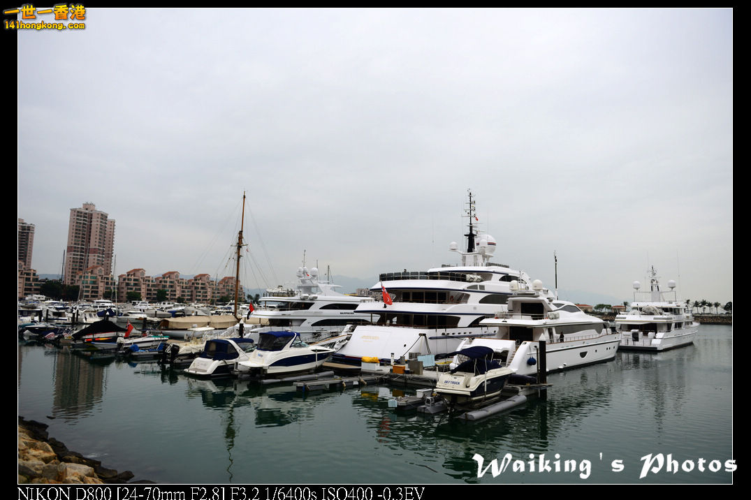 DSC_3619.jpg