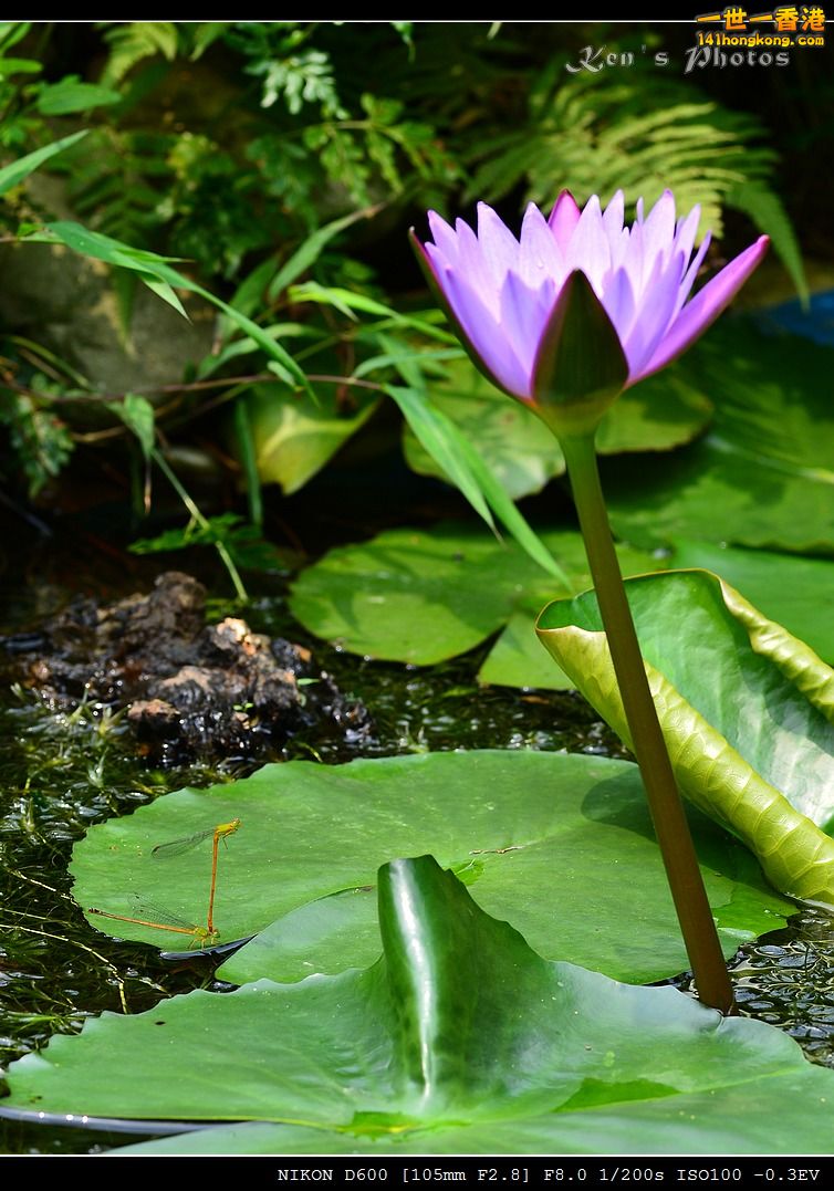 DSC_3958.jpg