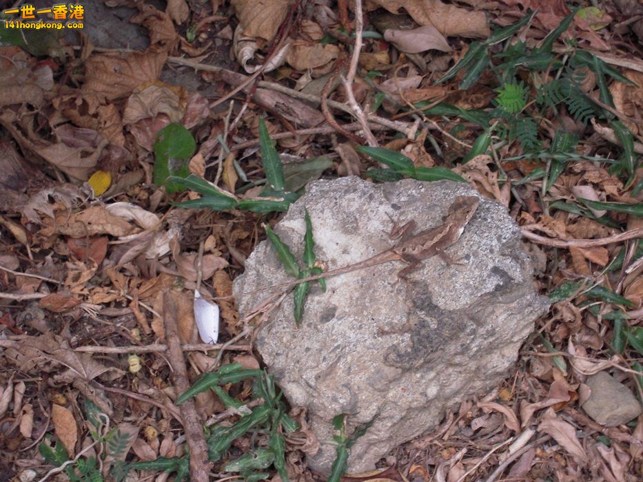 DSCN1498.JPG