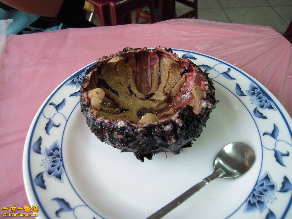 DSCN1509.JPG