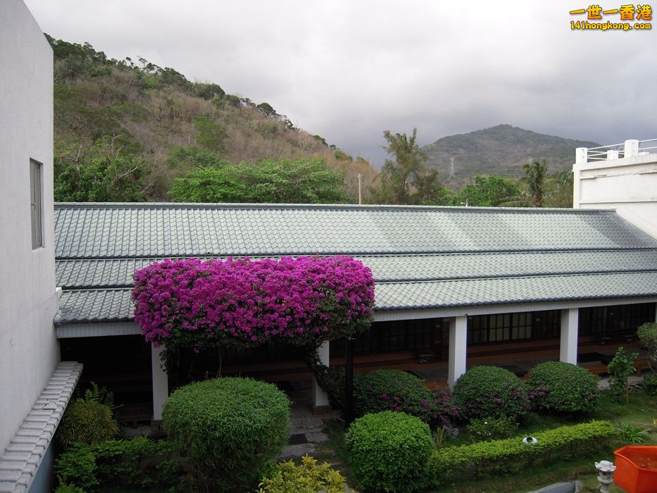 DSCN1536.JPG