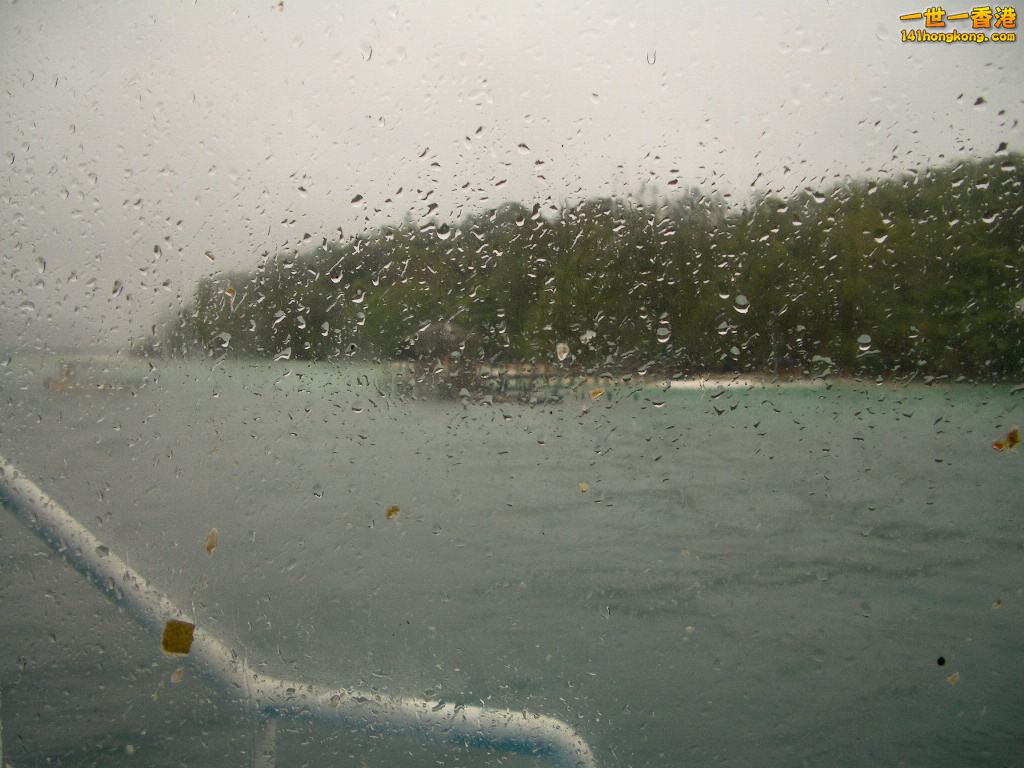 IMGP1234.JPG