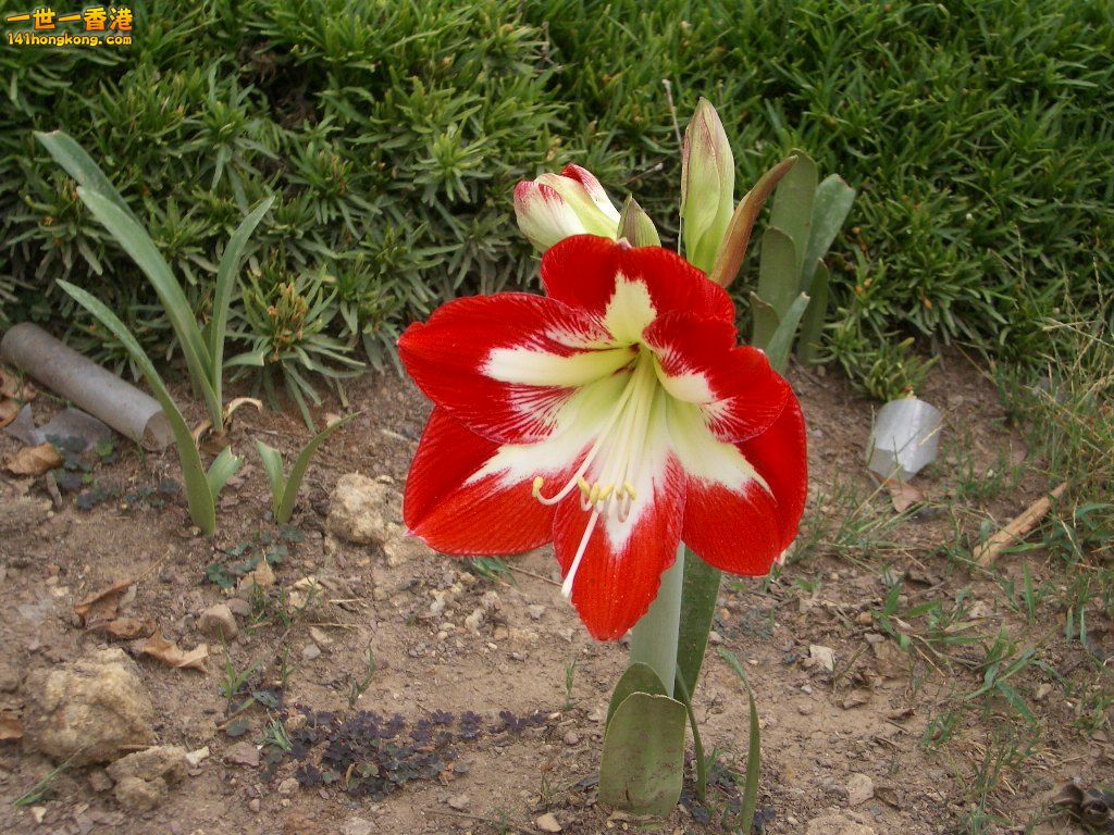 IMGP1300.JPG