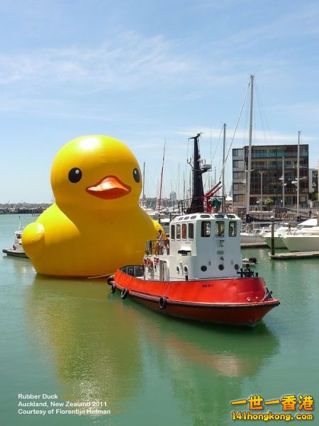 auckland201112m02W.jpg