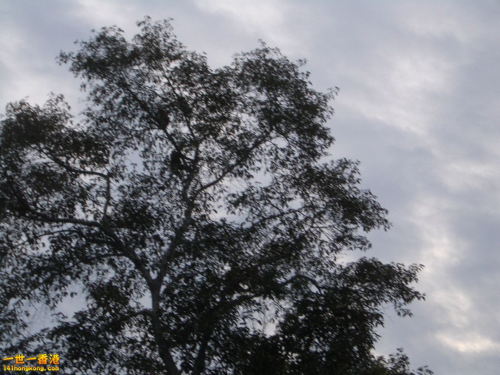 IMGP1229.JPG