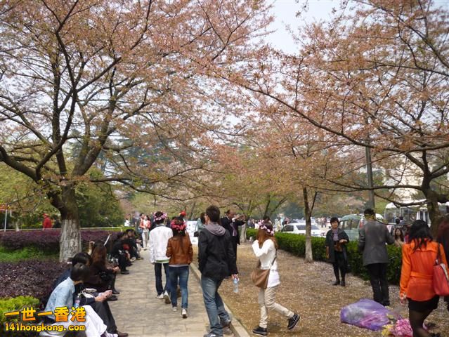 P1020761 (Small).JPG