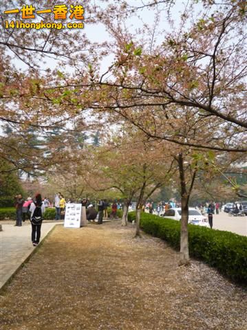 P1020765 (Small).JPG