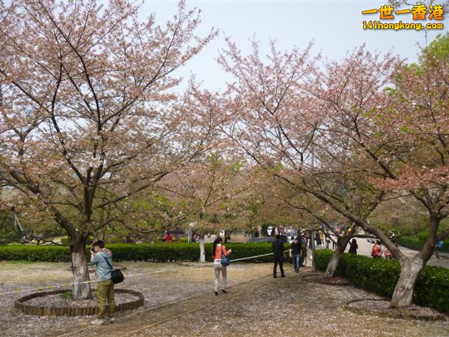 P1020766 (Small).JPG