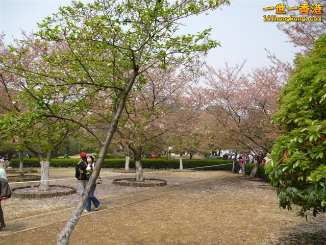 P1020769 (Small).JPG