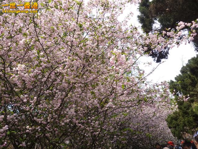 P1020775 (Small).JPG