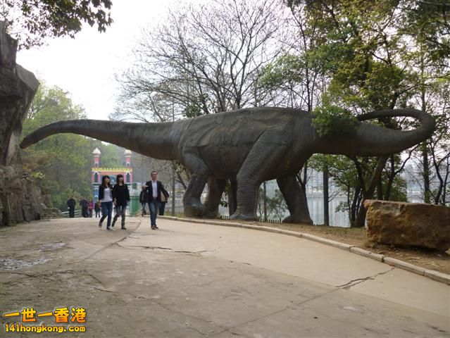 P1020831 (Small).JPG