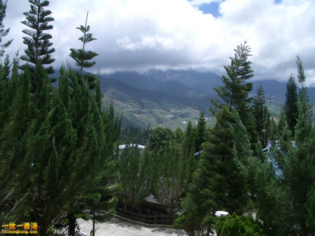 IMGP1268.JPG