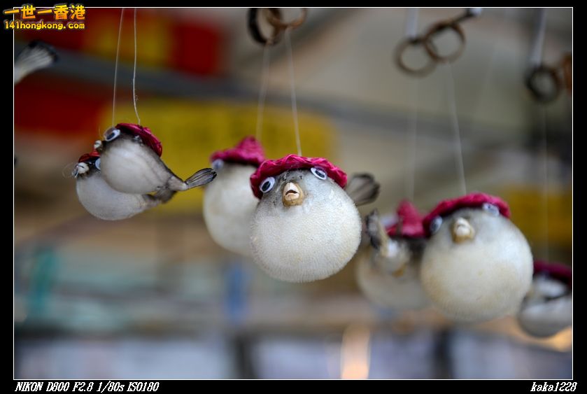 nEO_IMG_DSC_2672.jpg