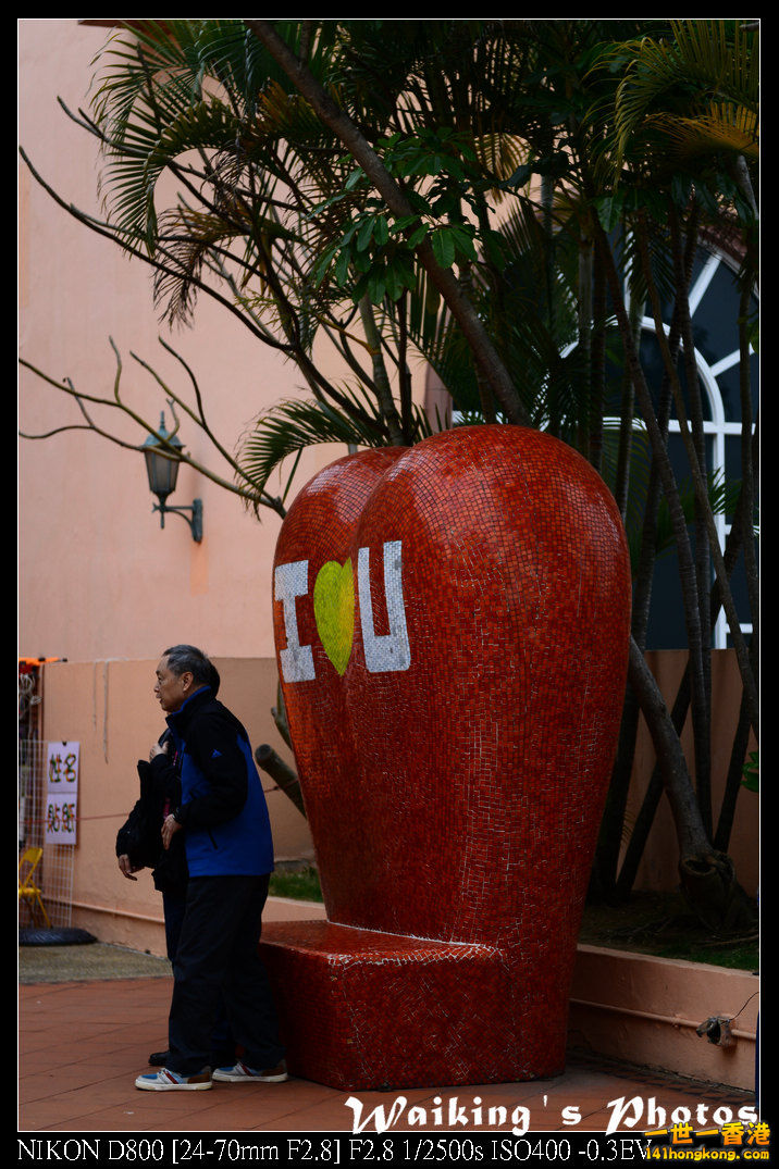 DSC_3629.jpg