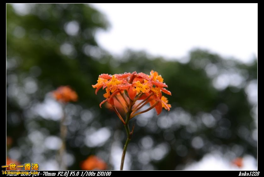 nEO_IMG_DSC_0891.jpg
