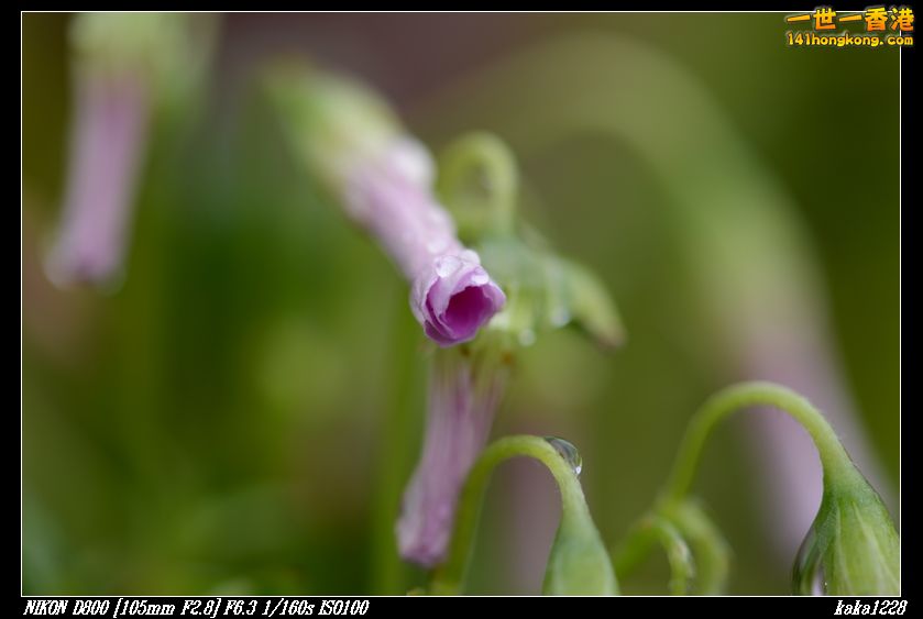 nEO_IMG_DSC_0889.jpg