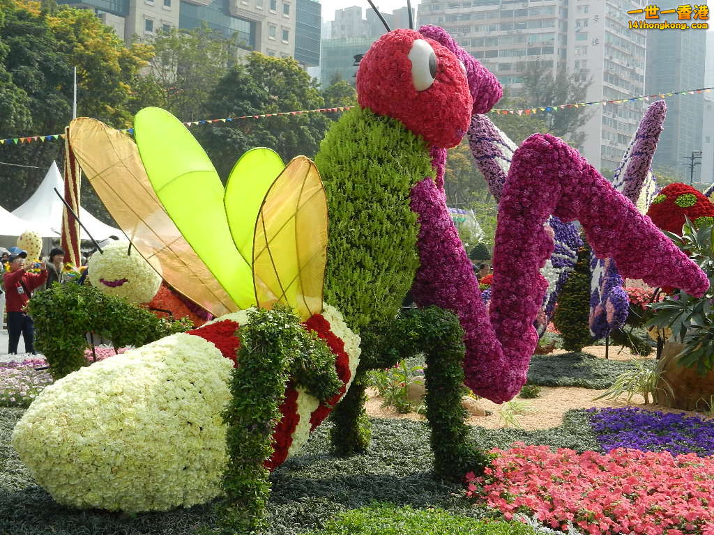 DSCN3943.JPG